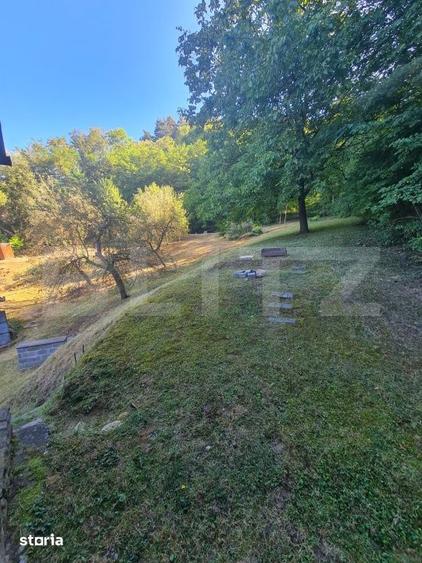 Casă cu 4 camere cu Teren 2400 Mp în Mihai Viteazu
