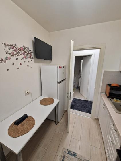 THEODOR PALLADY | HILS RESIDENCE | CENTRALA | PARCARE | METROU - 7