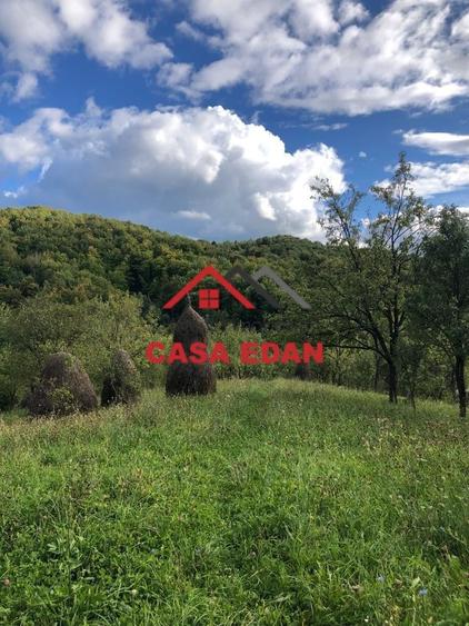Teren extravilan de 9104 mp, în Brebu Mânăstirei