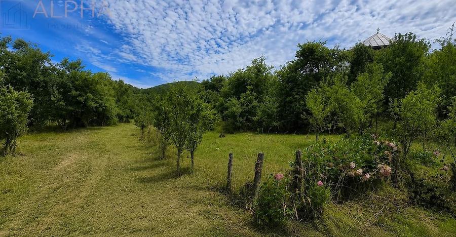 Casă cu 5 camere cu Teren 2320 Mp în Herina