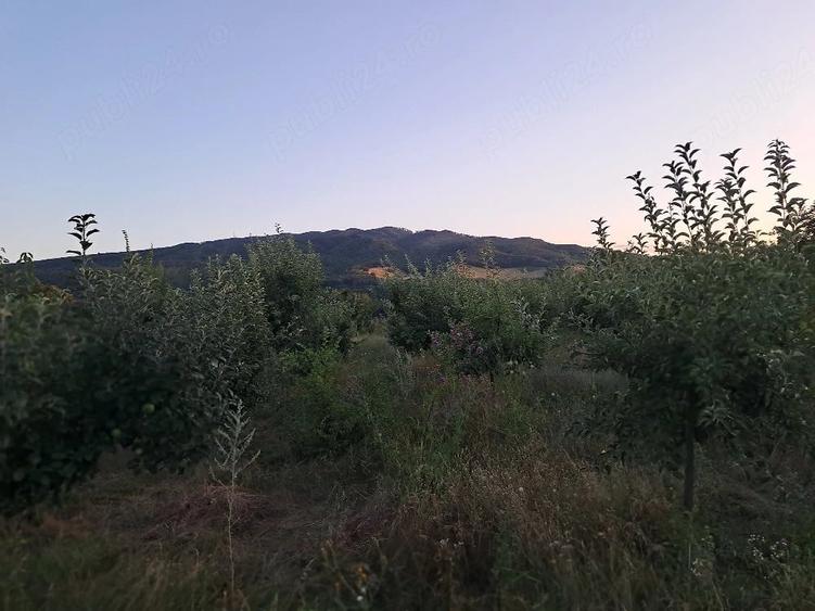 Teren de 1600 mp, în Șerbești