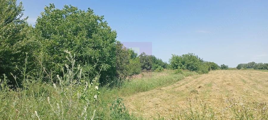 Teren de 665 mp, în Săbăreni