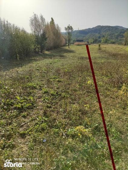 Teren de 1590 mp, în Valea