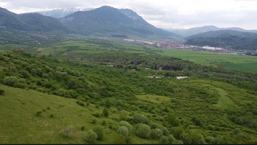 Spațiu comercial, în Tohanu Nou