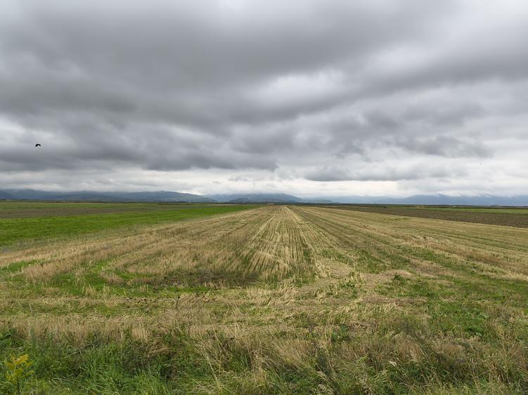 Teren agricol extravilan de 8900 mp, în Prejmer