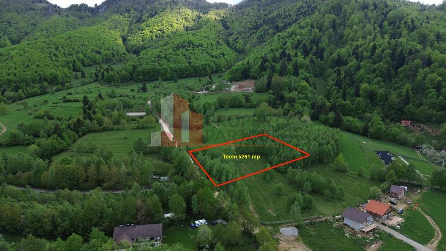 Teren Construcții intravilan de 5261 mp, în Tohănița