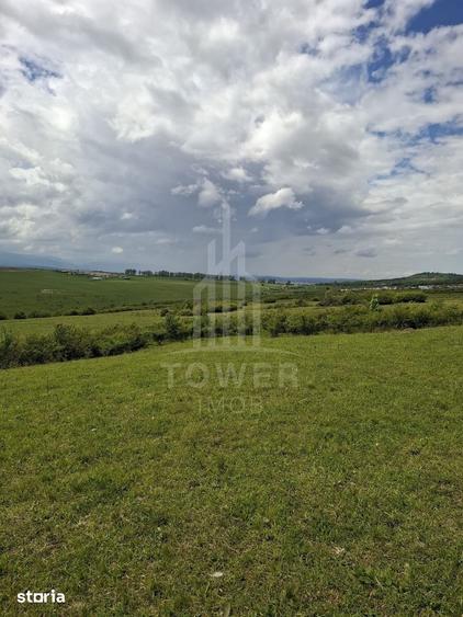 Teren de 11500 mp, în Roșia