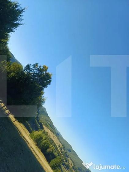 Teren de 11600 mp, în Central