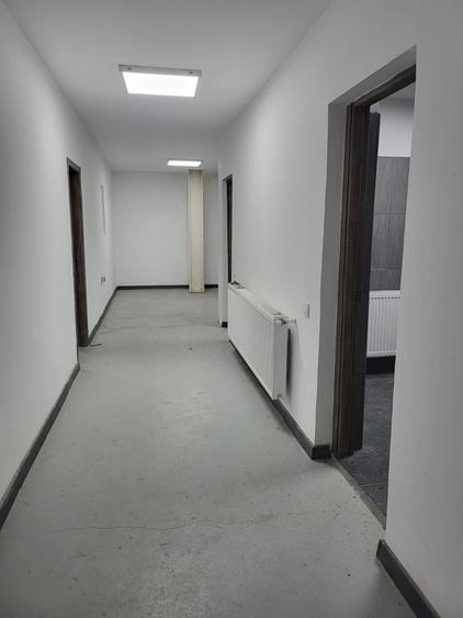 Hala 700 mp,  Pipera, in apropiere de giratoriu, catering, depozitare - 7