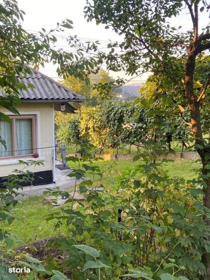 Casă cu 3 camere cu Teren 1861 Mp în Remeți