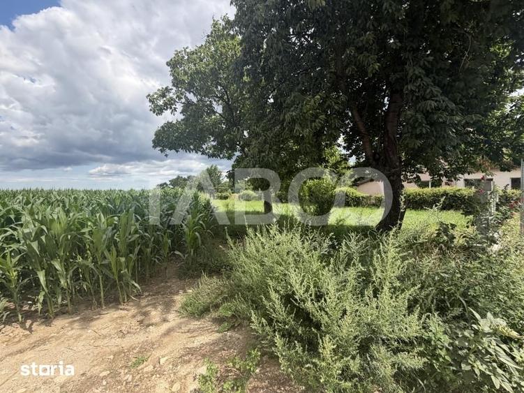 Teren de 3934 mp, în Recea