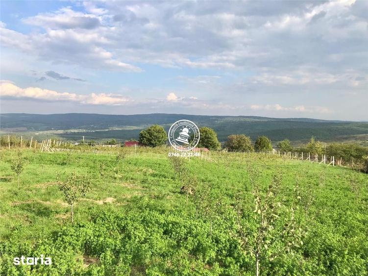 Teren de 6200 mp, în Mogoșești