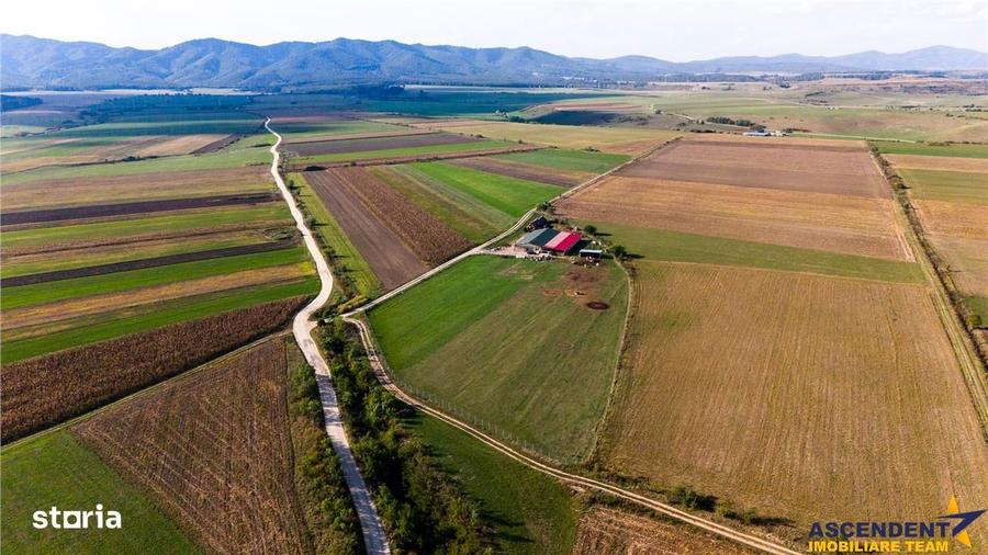 Teren de 18000 mp, în Feldioara