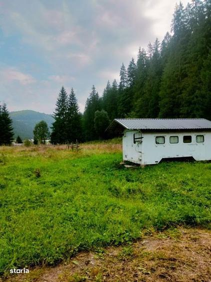 Teren de 1500 mp, în Mitocu Dragomirnei