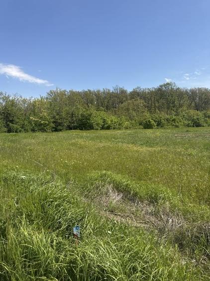 Teren de vanzare Ciofliceni (Snagov) | Locatie excelenta pentru investitie sau locuinta. - 4