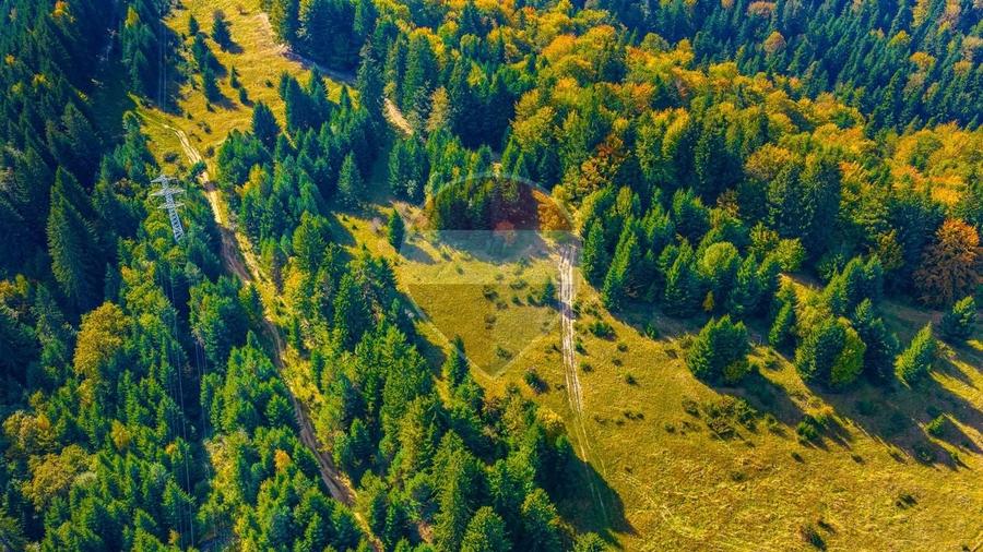 Teren Construcții intravilan de 2400 mp, în Timișu de Jos
