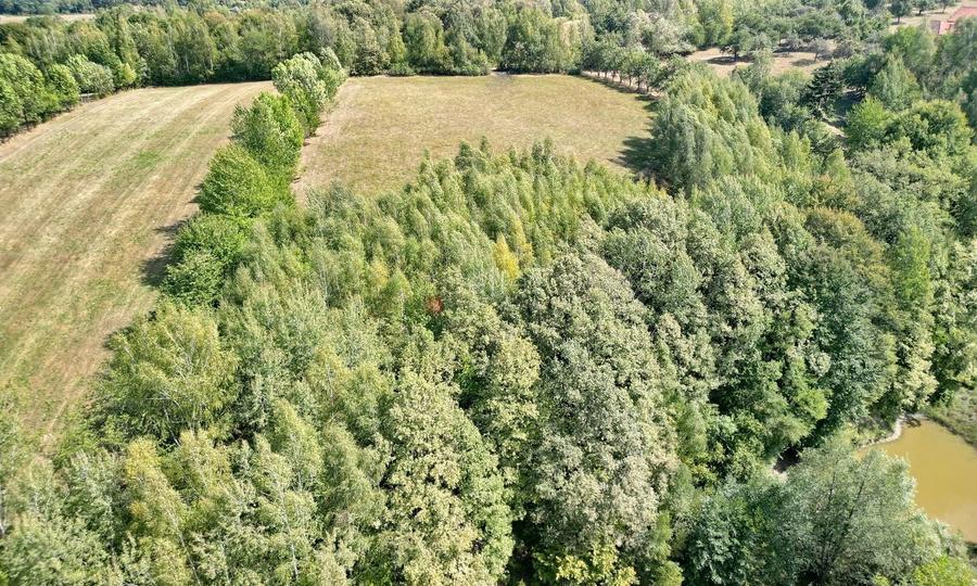 Teren Construcții intravilan de 10000 mp, în Sohodol