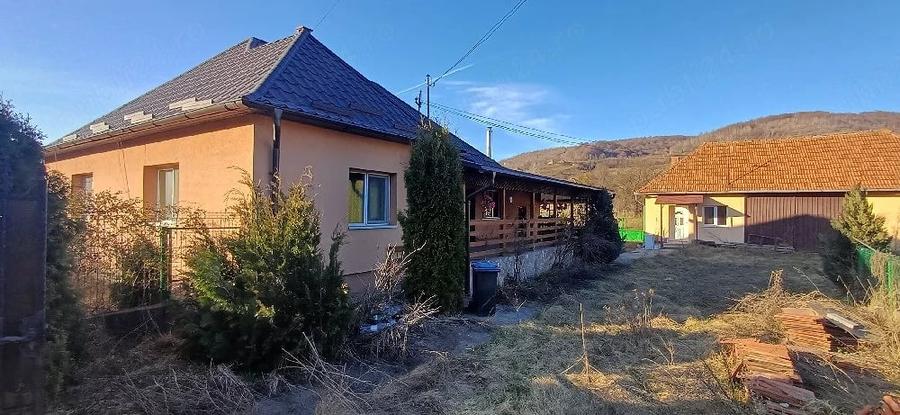 Casă cu Teren 2500 Mp în Negreni