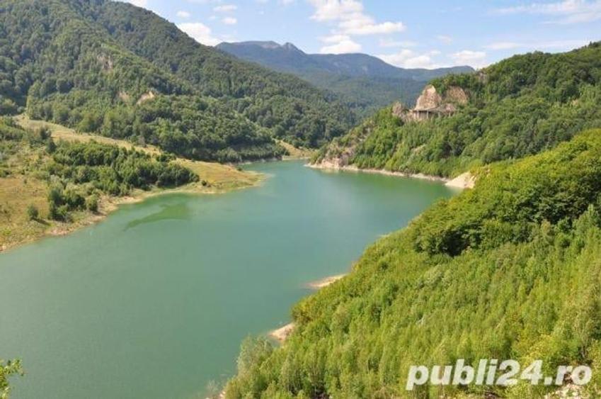 Teren de 4500 mp, în Sud