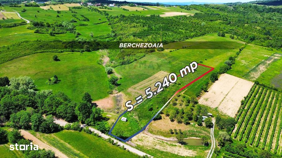 Teren de 5240 mp, în Copalnic