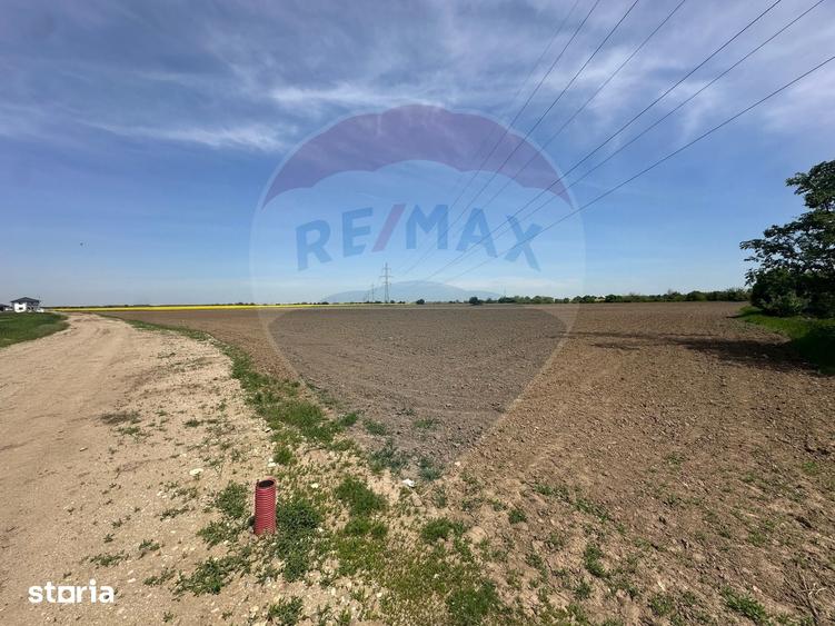 Teren de 545000 mp, în Dragomirești-Vale