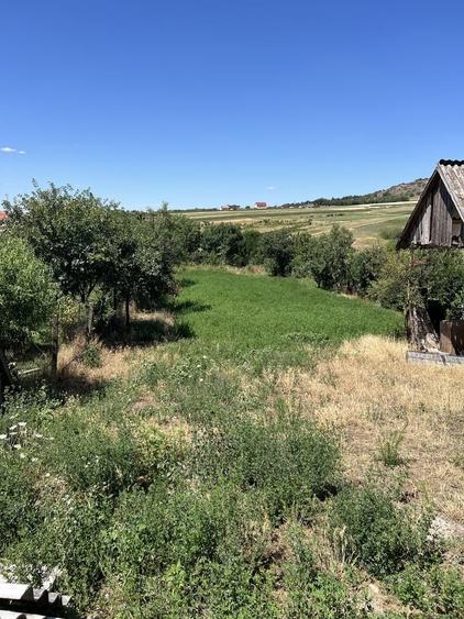 Casă cu 4 camere în Betfia