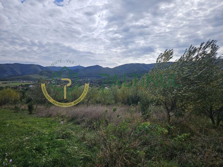 Teren Construcții intravilan de 649 mp, în Sadu