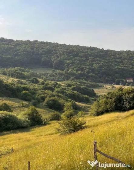 Teren 500mp, Valea Sanaslaului - Floresti (Cluj) - 1