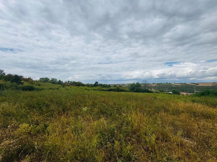 Teren agricol intravilan de 657 mp, în Paleu