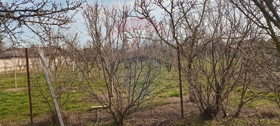 Teren Construcții intravilan de 2954 mp, în Vladimirescu