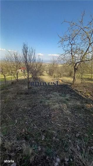 Teren de 3000 mp, în Orașu Nou