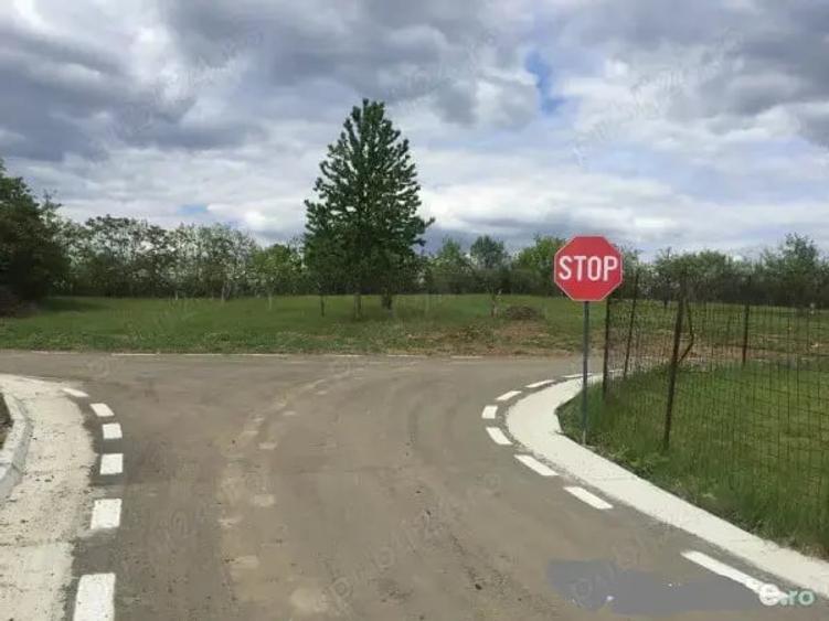 Teren de 5000 mp, în Chicerea