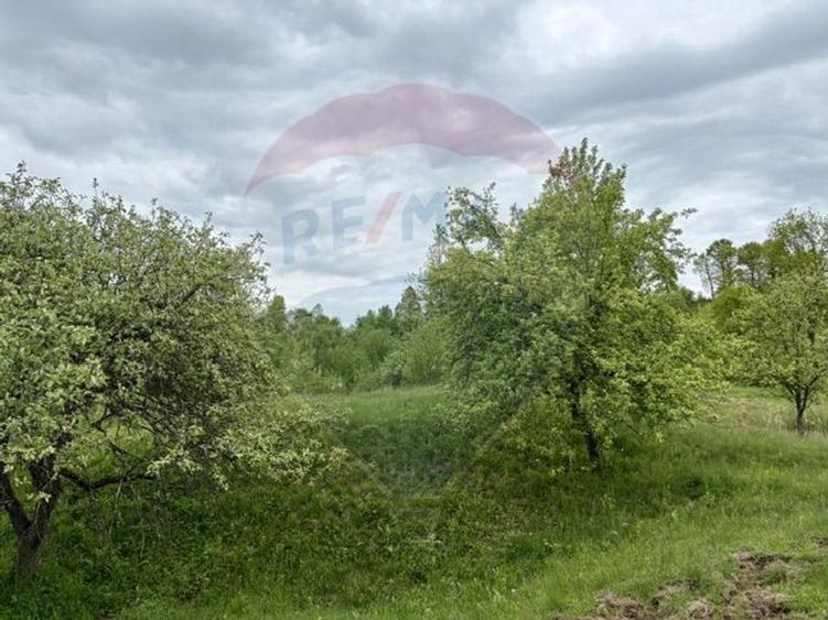Teren agricol extravilan de 20876 mp, în Breb