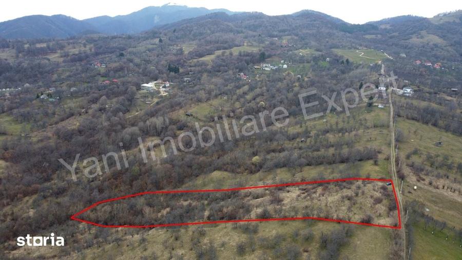 Teren de 14328 mp, în Nucșoara
