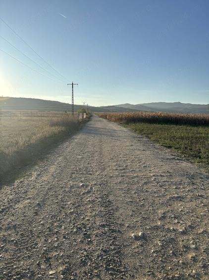 Teren de 200 mp, în Pâclișa