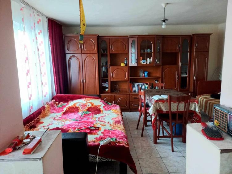 Casă cu 2 camere în Vintere