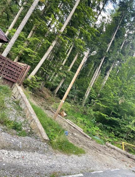 Teren de vanzare CUMPATU Sinaia