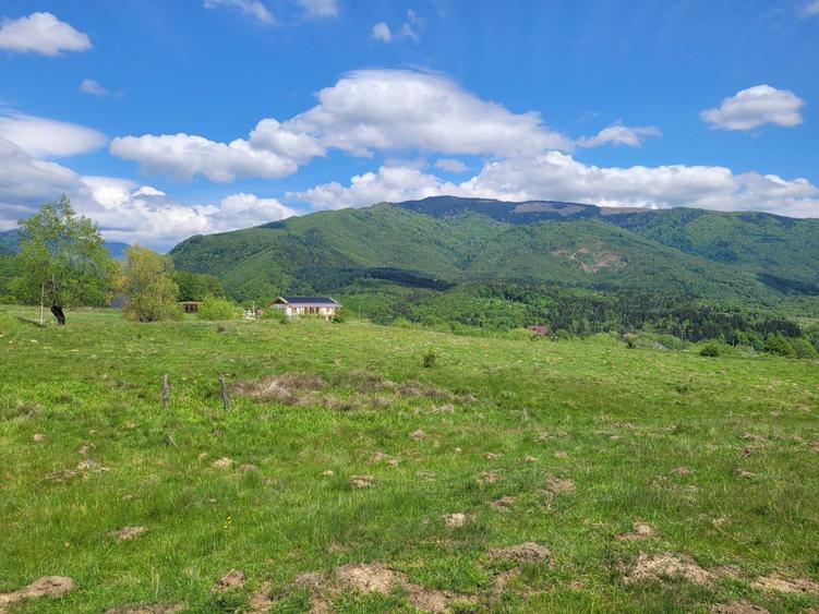 teren de vanzare Slatina ,Comuna Nucsoara - 4