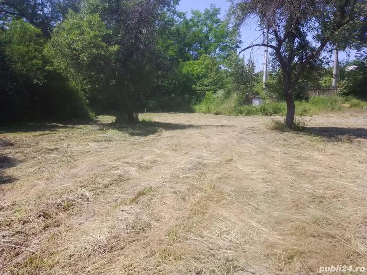 Teren de 4000 mp, în Copăceni