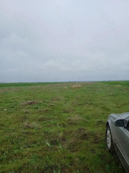 Teren de 27000 mp, în Vânători