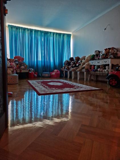 Casa remarcabila Cazasu, Braila - 15