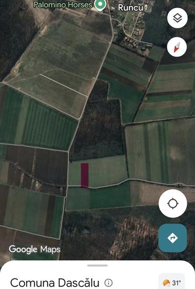 Teren de 7300 mp, în Dascălu
