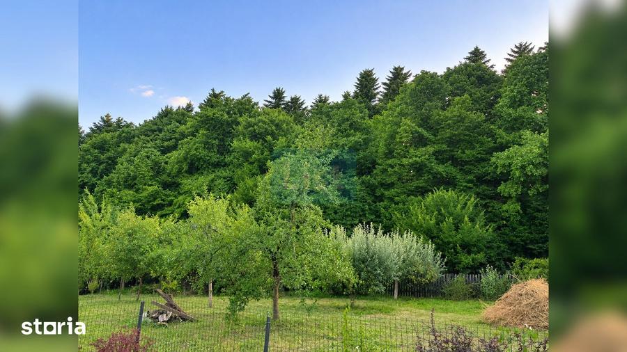 Casa P+M cu teren de 1.000 mp, situata la marginea padurii - 3