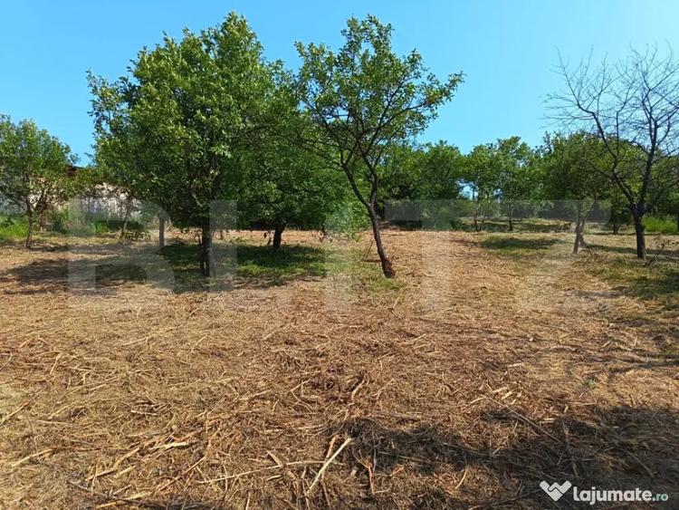 Casă cu 2 camere cu Teren 3350 Mp în Central