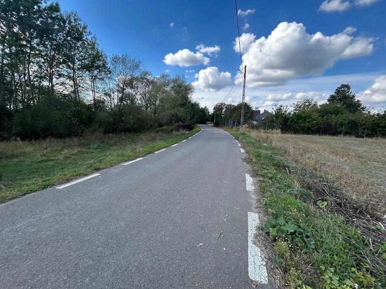 Teren loc de casa in Vadu Moldovei - 7