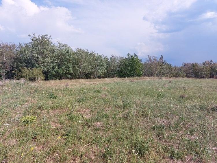 Teren Construcții intravilan de 1100 mp, în 1 Mai