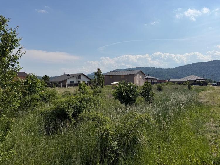 Teren de 900 mp, în Dumbrava