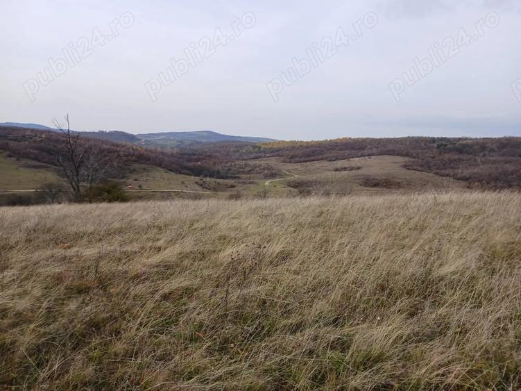Teren de 19150 mp, în Tomnatic