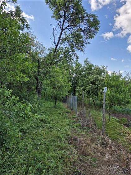 Casă individuală cu 2 camere cu Teren 2112 Mp în Sângătin