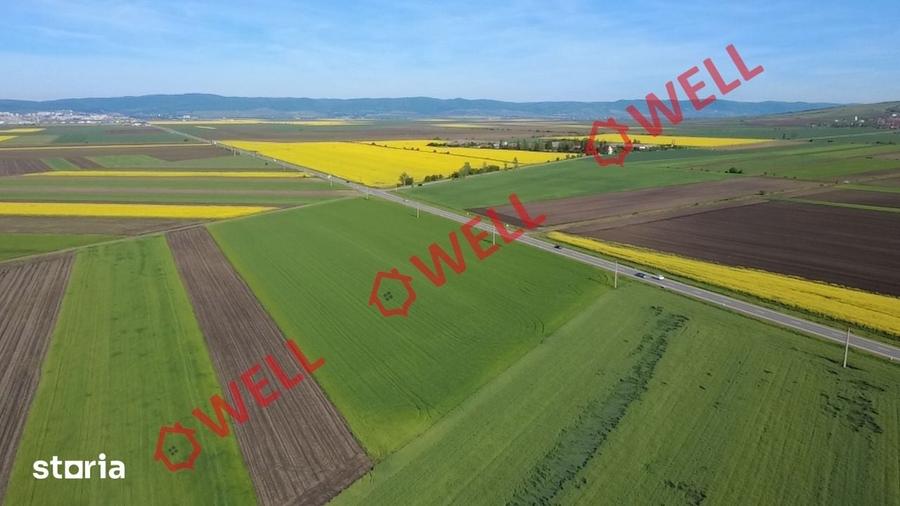 Teren de 68800 mp, în Ozun